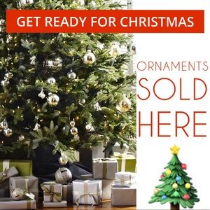 Various Christmas Ornaments SOLD HERE!